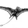 Dimorphodon