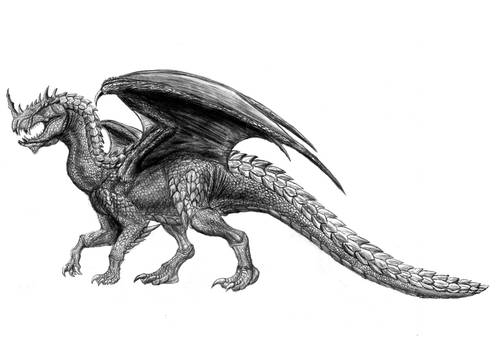 Armoured Dragon