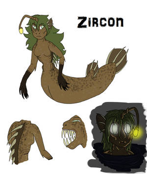 Zircon Ref by rexyplexy