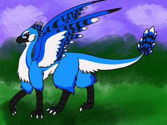 Blue Jay Dragon