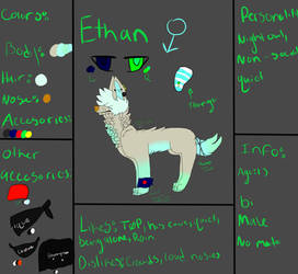 Ethan Reference sheet