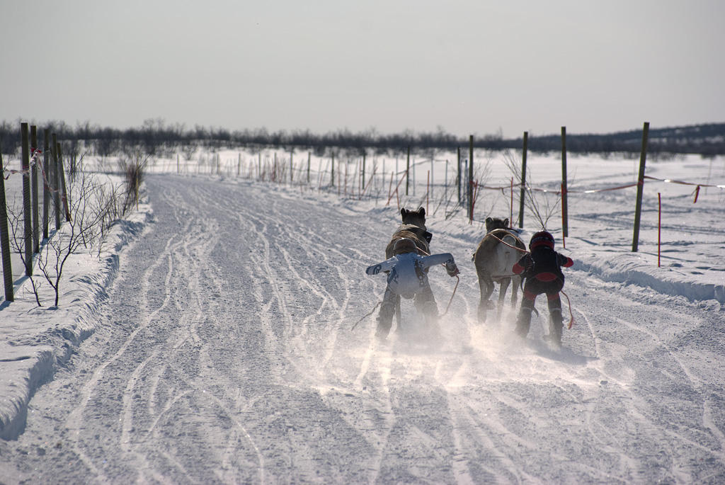Reindeer Racing 1 by netrex on DeviantArt