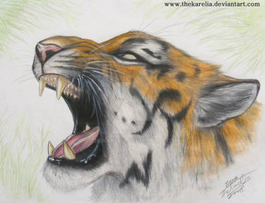 Roar of the Tiger.