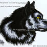 Shadow Loke
