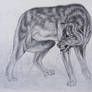 Realistic Wolf Practice