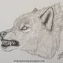 Wolf _ uncoloured