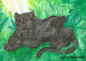 Black Jaguar
