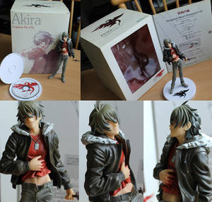 Togainu no Chi  Akira figure FOR SALE