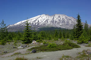 South Slope of Mt. St. Helens