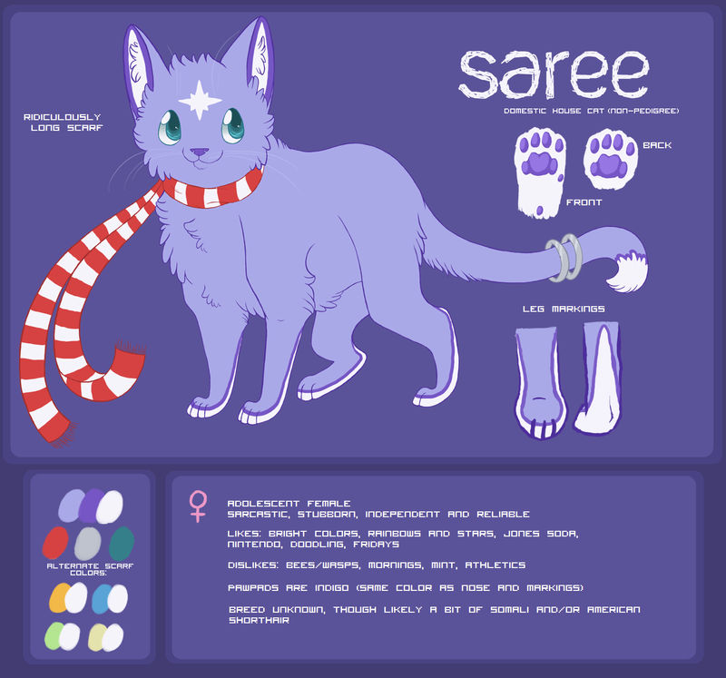 Reference Sheet - Saree v2