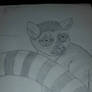 lemur drawing 
