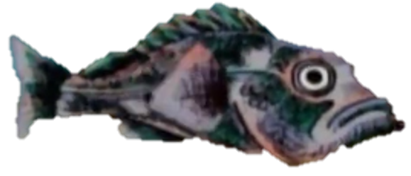 Rock Fish 2 by justinholbert25 on DeviantArt