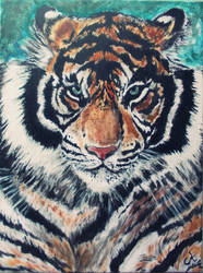 Acrylic Tiger