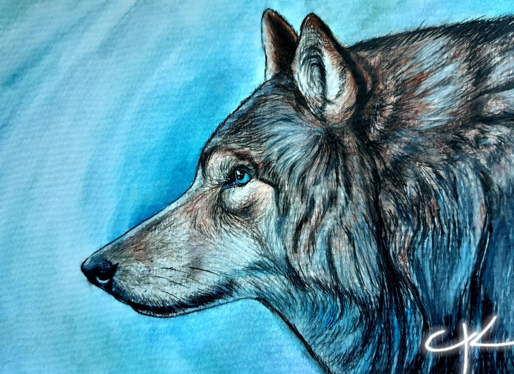 Wolves are worth loving by TheLordOfTheArts on DeviantArt