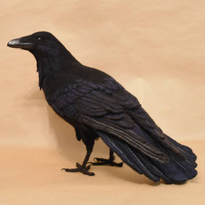 Needle felted Raven