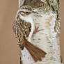 Needle felted Treecreeper