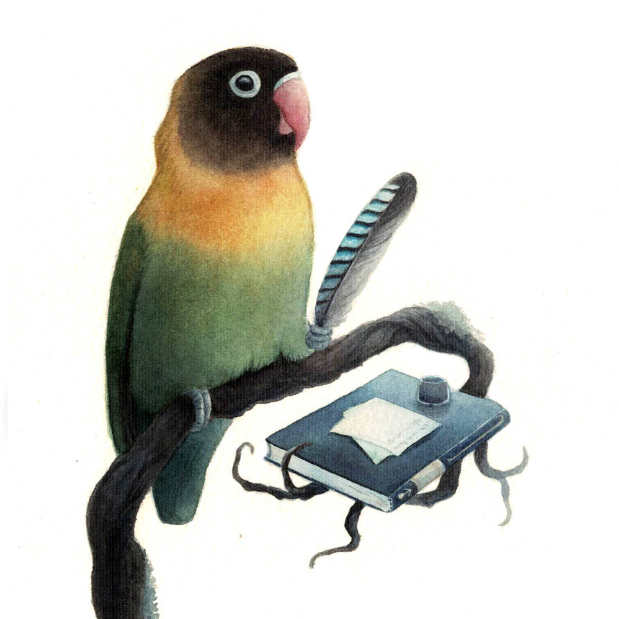 Deviantart Mailbird Lovebird by Hillamer on DeviantArt