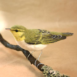 Needle felted Wood Warbler