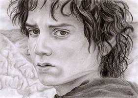 Frodo Beutlin (Elijah Wood)