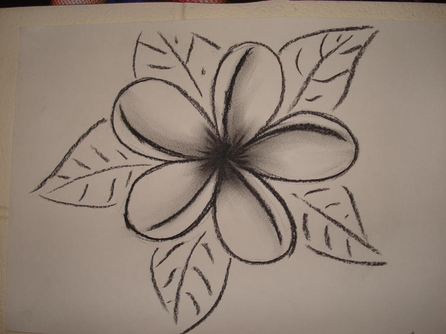 Charcoal Frangipani