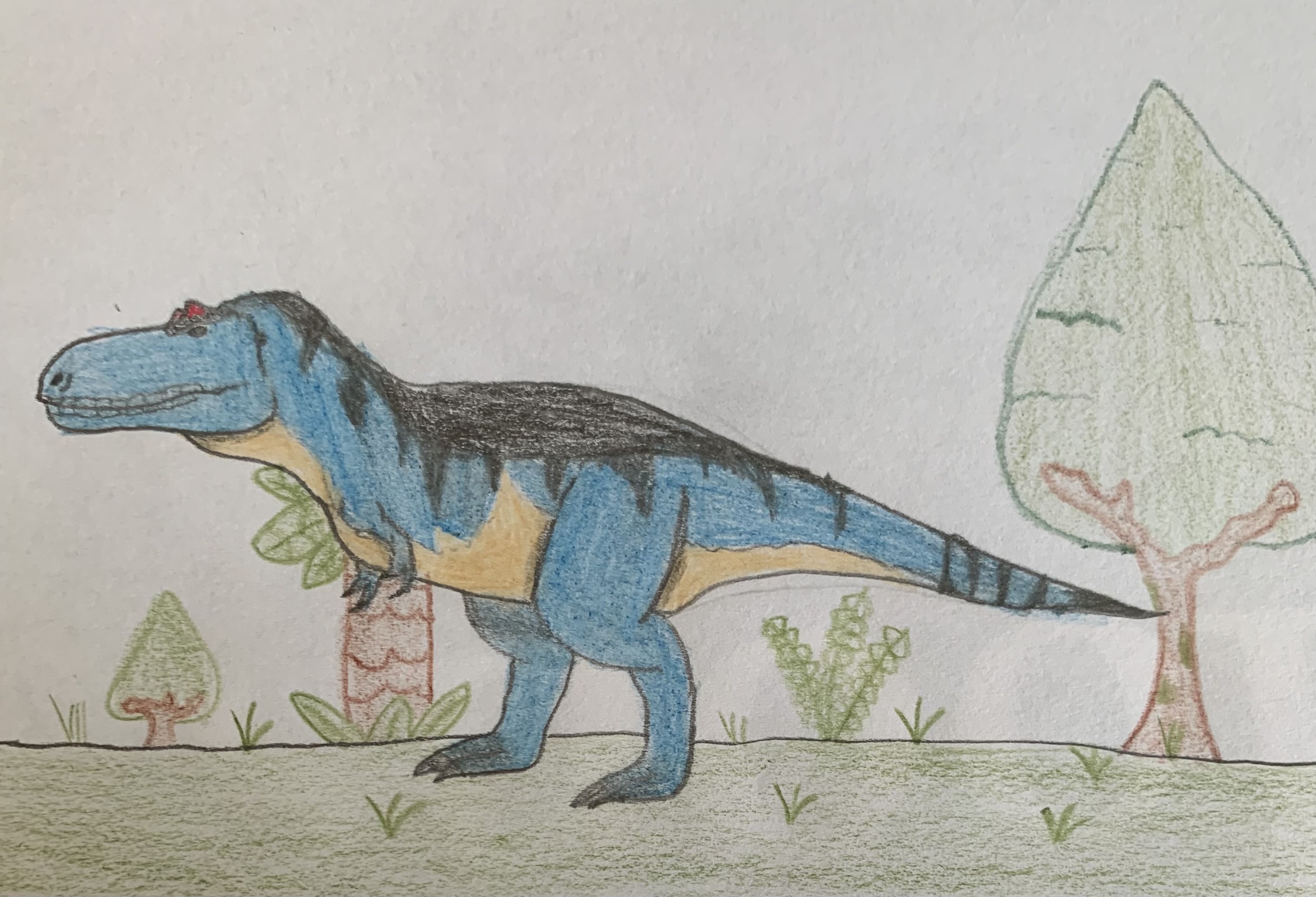 Gorgosaurus by edmontosaurusent on DeviantArt