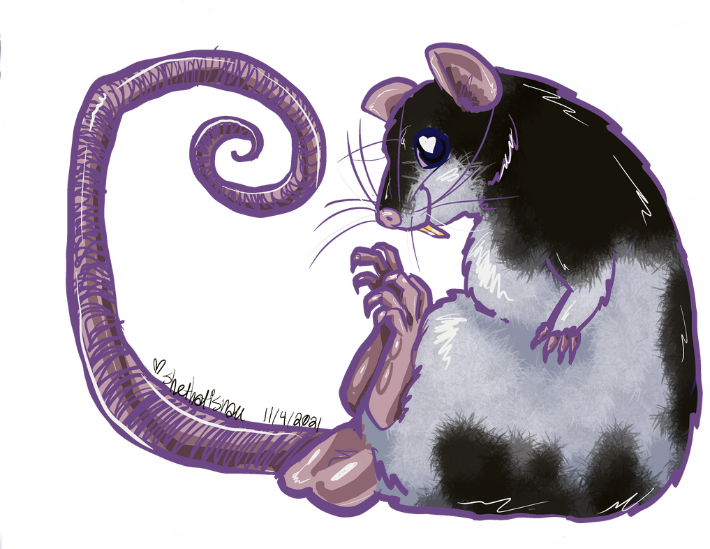 Fat rat by shethatisnau on DeviantArt