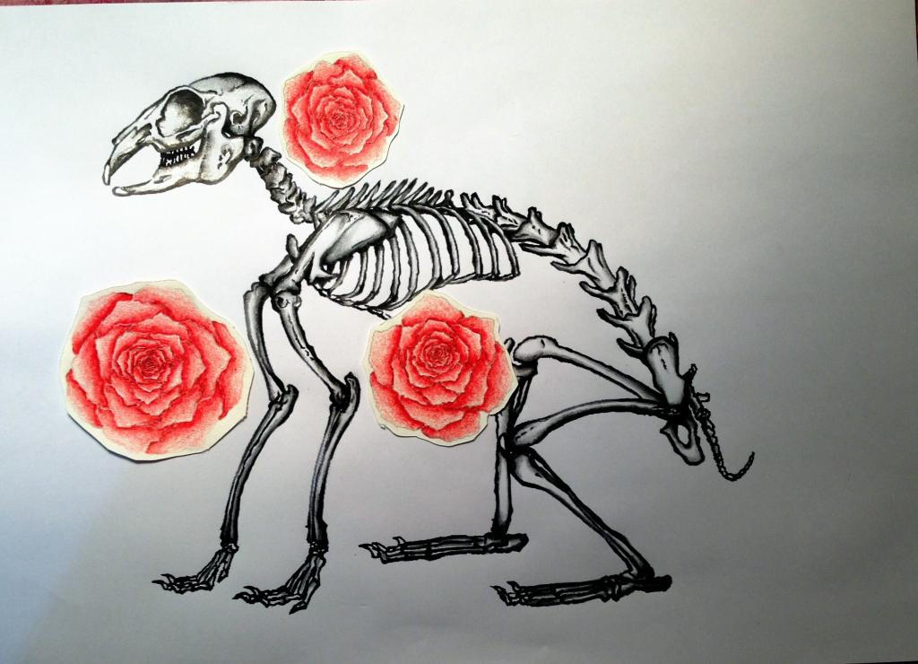Rabbitskeleton by CrimsonMay on DeviantArt