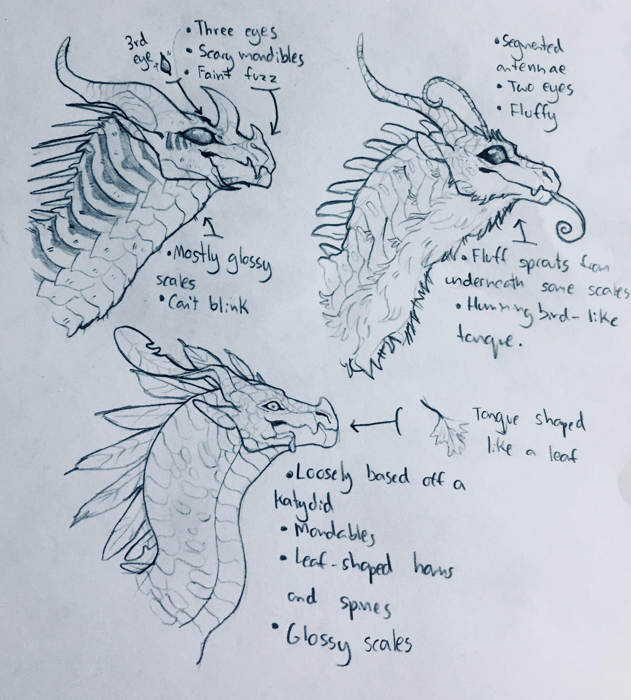 Wings Of Fire Pantala Tribe Designs STYLIZED By Gr77n On DeviantArt wings-of-fire-pantala-tribe-designs-stylized-by-gr77n-on-deviantart