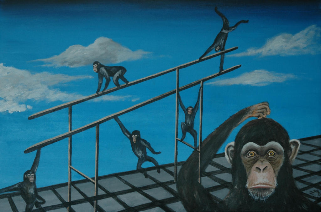 A Distorted Monkey Optical Illusion-The Confused Monkey by jasonng123 on DeviantArt