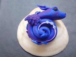 Blue and purple sea dragon