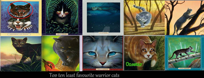 Top Ten Least Favourite Warrior Cats