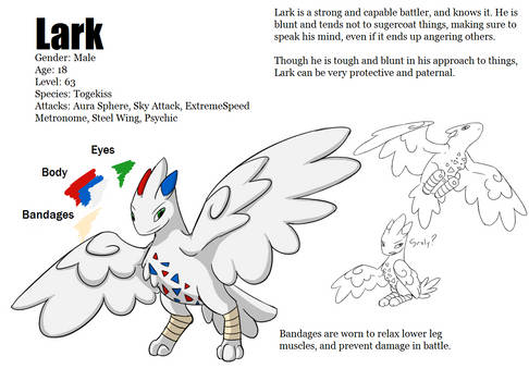 Lark Reference Sheet