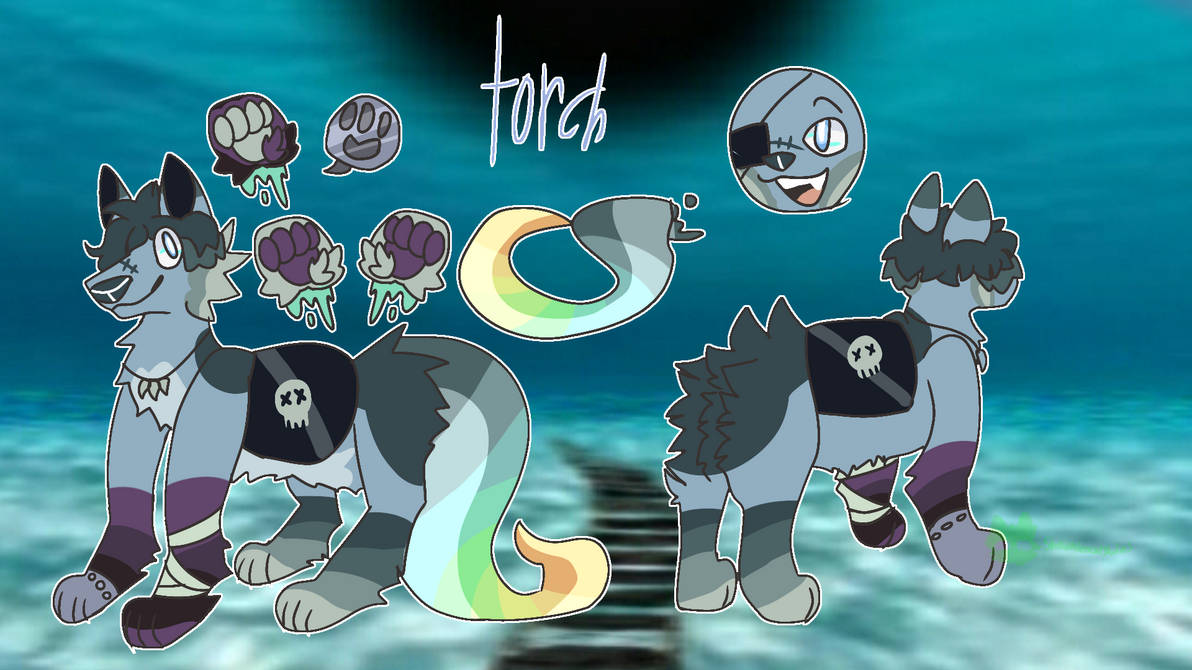 Torch reference sheet by ALIENNCATSTUDIOZ on DeviantArt