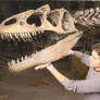 Allosaurus and I