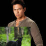 Twilight: Sam Uley and his daemon