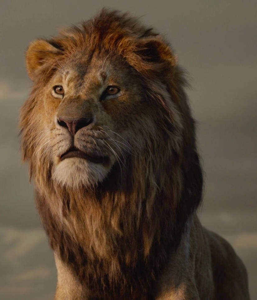 Lion king 2019: Adult Simba pic#2 by kaelynturtle350 on DeviantArt