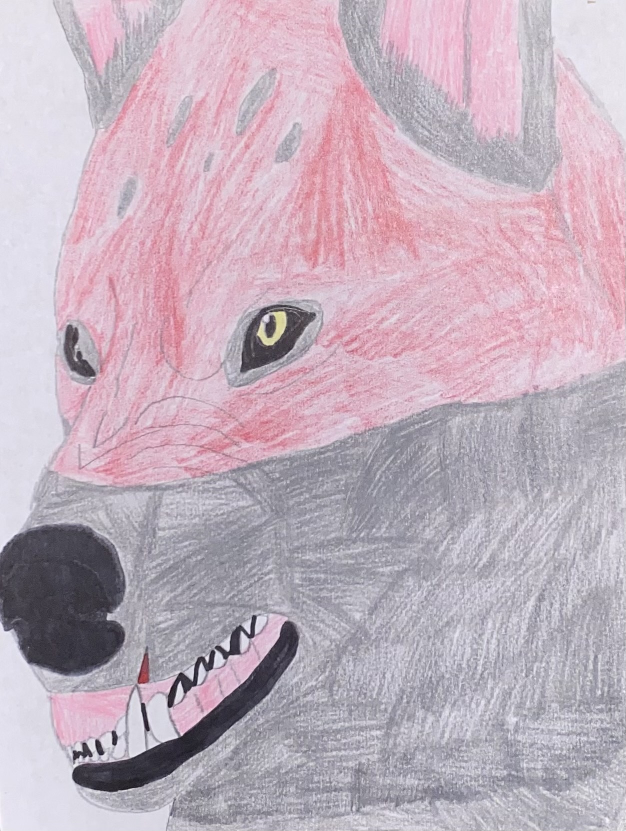 Wolfman Raph Tmnt 2014 Werewolves: Wolf Raph sketch #1 by kaelynturtle350 on DeviantArt