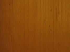 Wood Texture 4