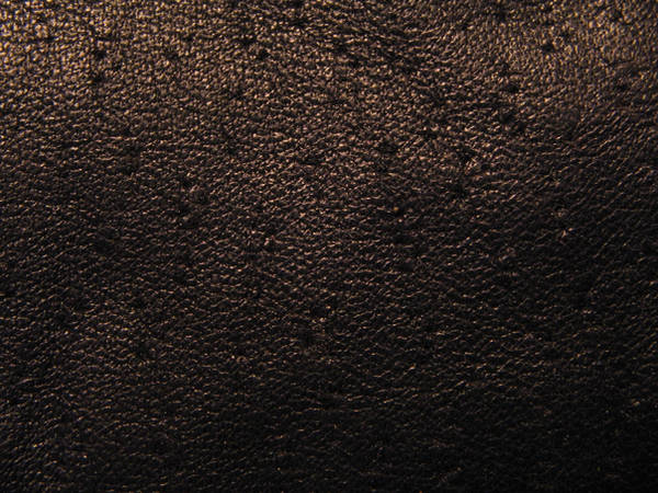 Black Leather 2 by Hjoranna