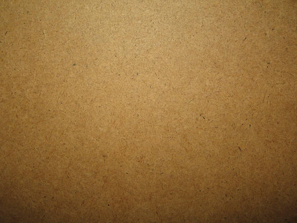Cardboard Texture by Hjoranna