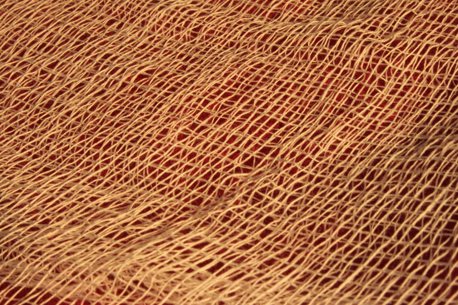 Net Texture 6
