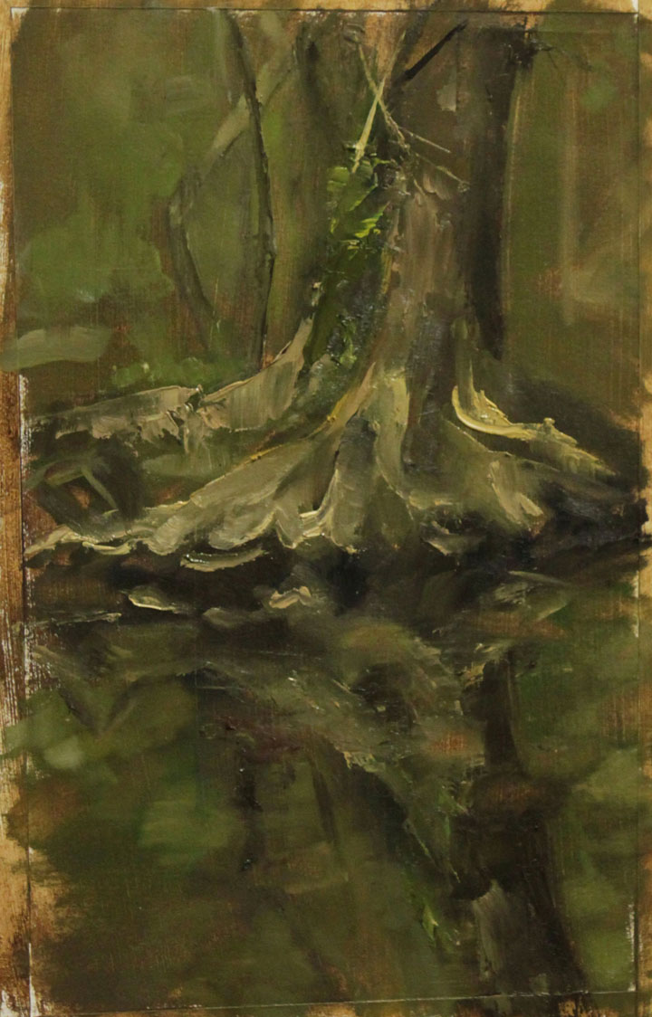 Tree by a stream