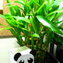 Panda Paper Crafts