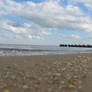 Crab's Eye View - Ocean Pier