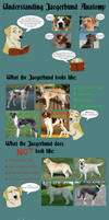 Understanding Jaegerhund Anatomy