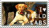 I Love Field Labs :Stamp Request:.