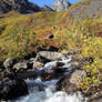 Fall Waterfall