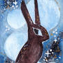 ACEO Hare ii