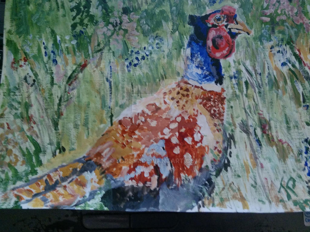 Pheasant Acrylic Painting