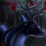 Black deer